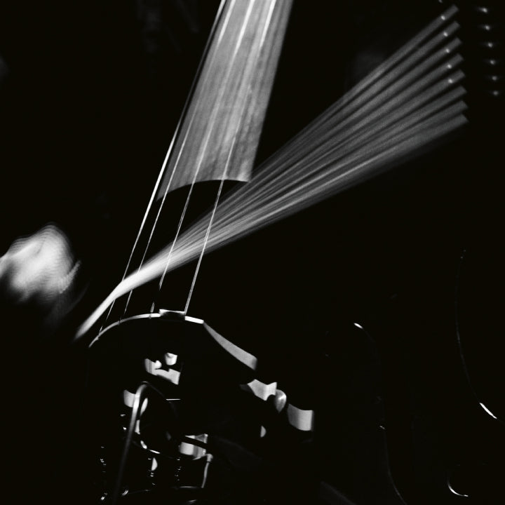Arnold Dreyblatt & the Orchestra of Excited Strings – Resolve [LP]