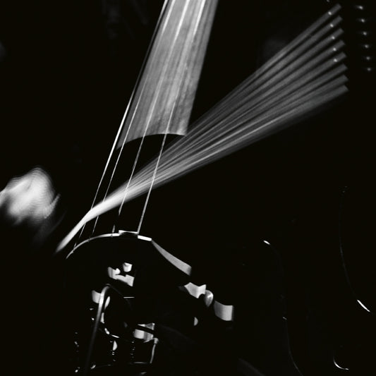 Arnold Dreyblatt & the Orchestra of Excited Strings – Resolve [LP]