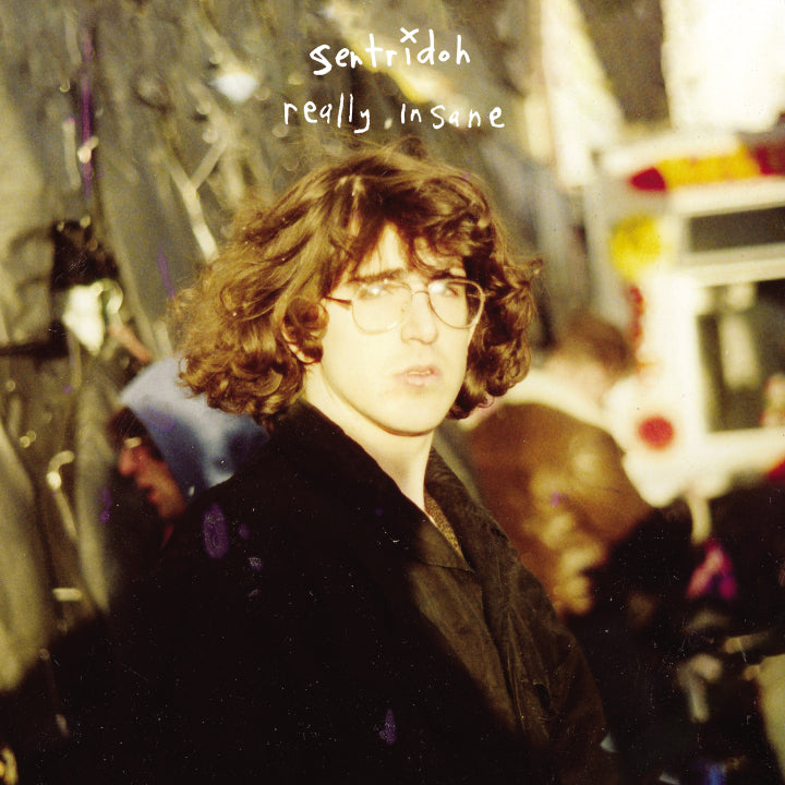 Sentridoh – Really Insane: A Lou Barlow Compendium [LP]
