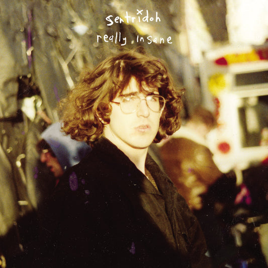 Sentridoh – Really Insane: A Lou Barlow Compendium [LP]