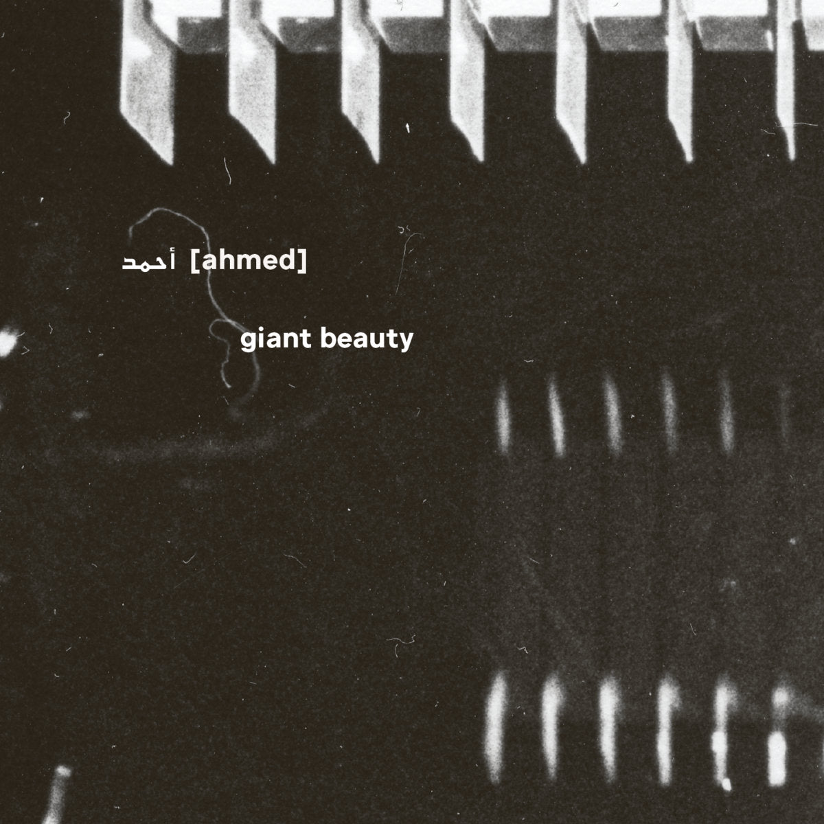 أحمد [Ahmed] – Giant Beauty [5CD BOX]