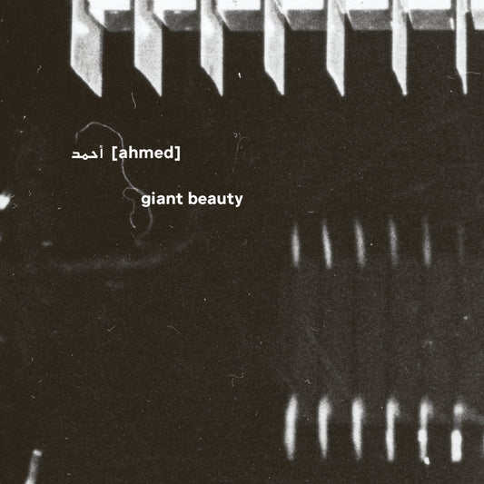 أحمد [Ahmed] – Giant Beauty [5CD BOX]