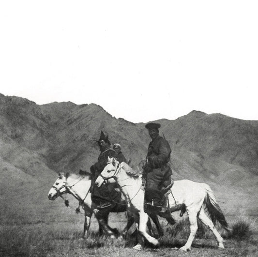 A Handful of Dust – The drum is the shaman's horse [LP]