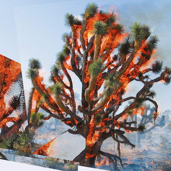 Oren Ambarchi, Kassel Jaeger, James Rushford – Face Time [USED LP]