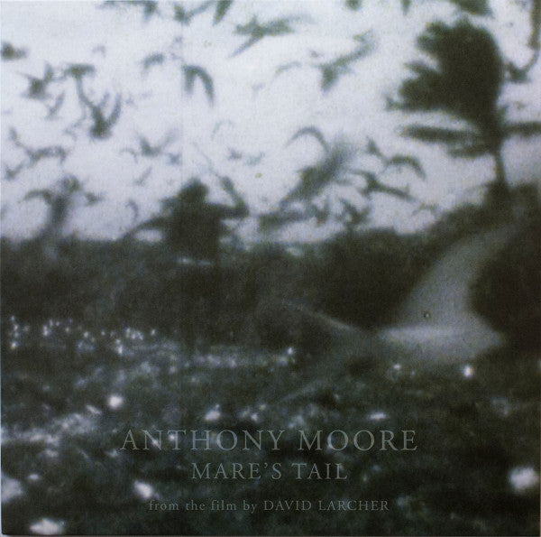Anthony Moore – Mare's Tail [LP]