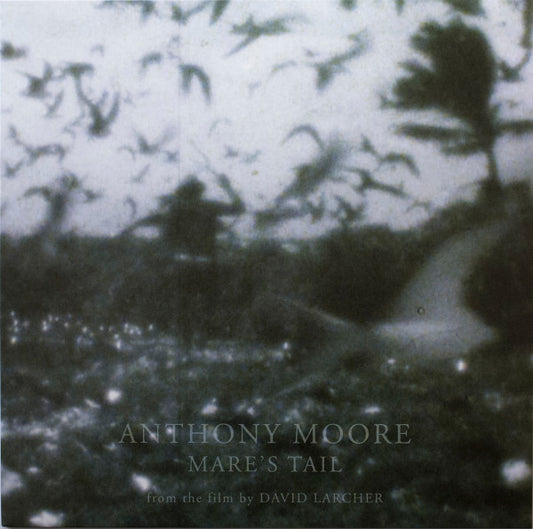Anthony Moore – Mare's Tail [LP]