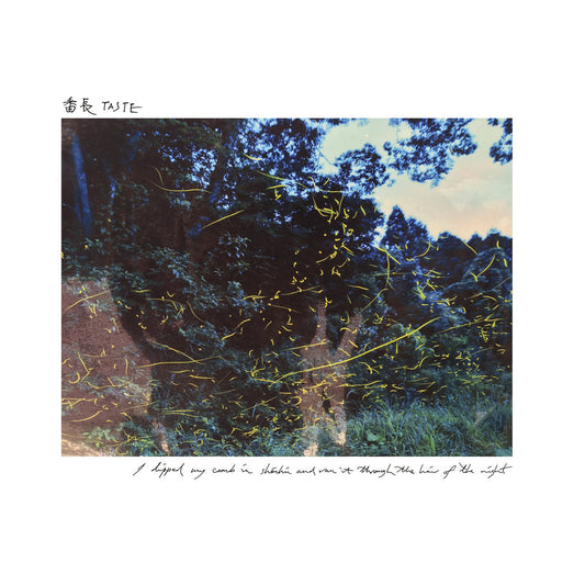番長 Taste –  I dipped my comb in shochu and ran it through the hair of the night [LP]