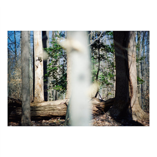 Beatrice Dillon – Seven Reorganisations [LP]