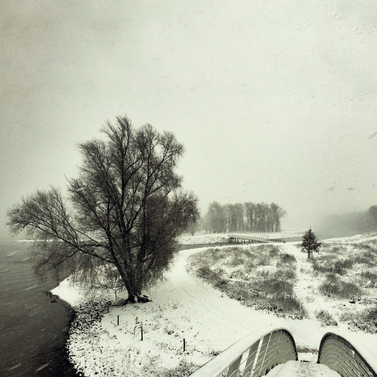 Beequeen – Winter [LP]
