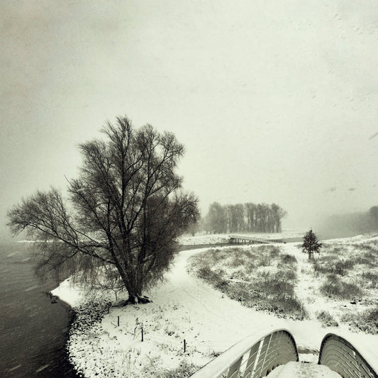 Beequeen – Winter [LP]