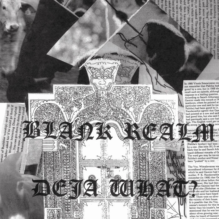 Blank Realm – Deja What? [USED LP]