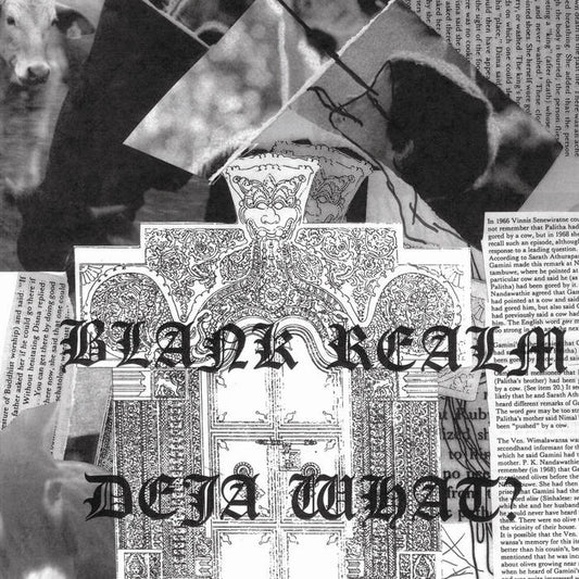 Blank Realm – Deja What? [USED LP]