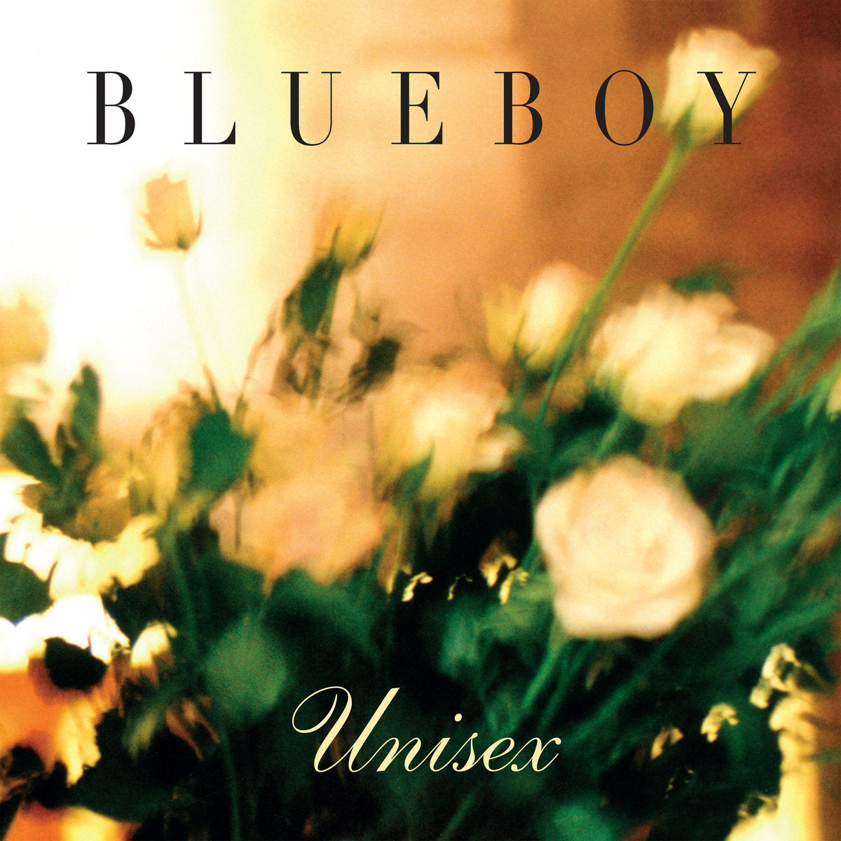 Blueboy – Unisex [LP]
