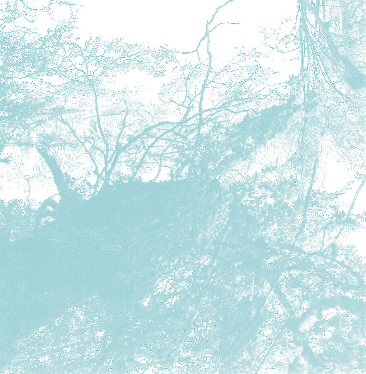Bluetung – Music for Our Dying Earth [LP]