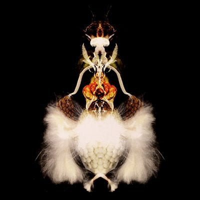 Bola – Fyuti [USED 2LP]