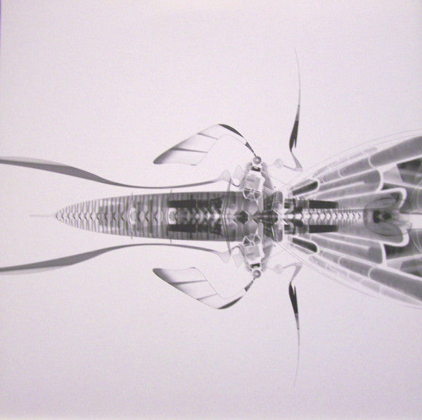 Bola – Mauver [USED 12"]