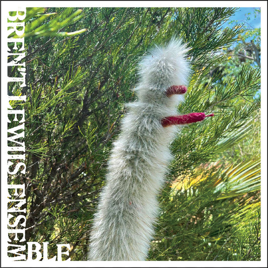 Bren't Lewiis Ensemble – Fifth Dementia [CD-R]