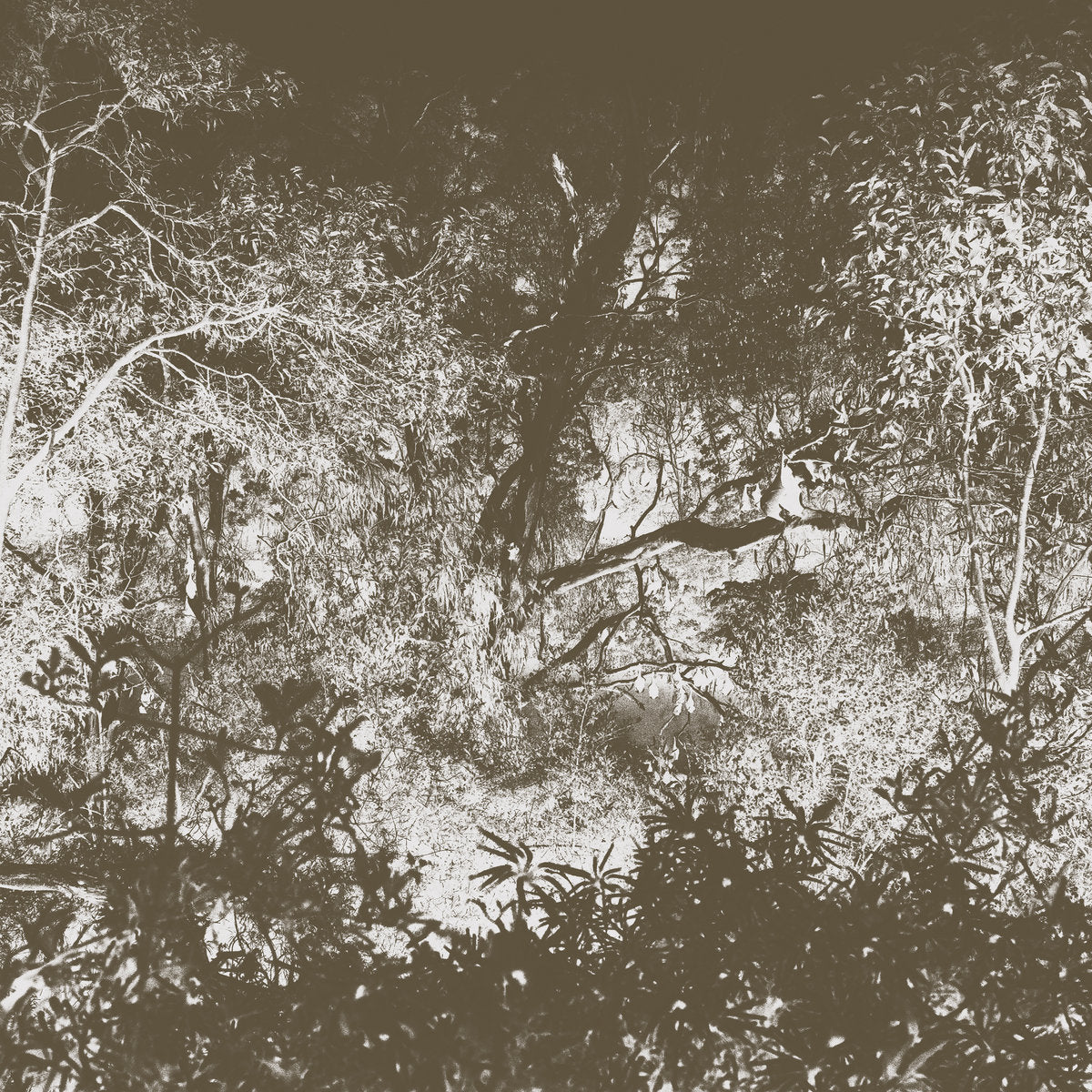 Cold Hands Warm Heart – Luxury Bat [LP]