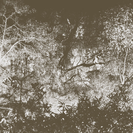 Cold Hands Warm Heart – Luxury Bat [LP]