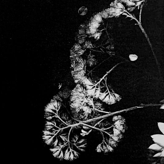 Cold Hands Warm Heart – day and night have equal weight [CS]
