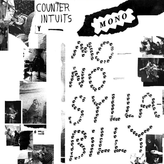 Counter Intuits – Monosyllabilly [USED LP]