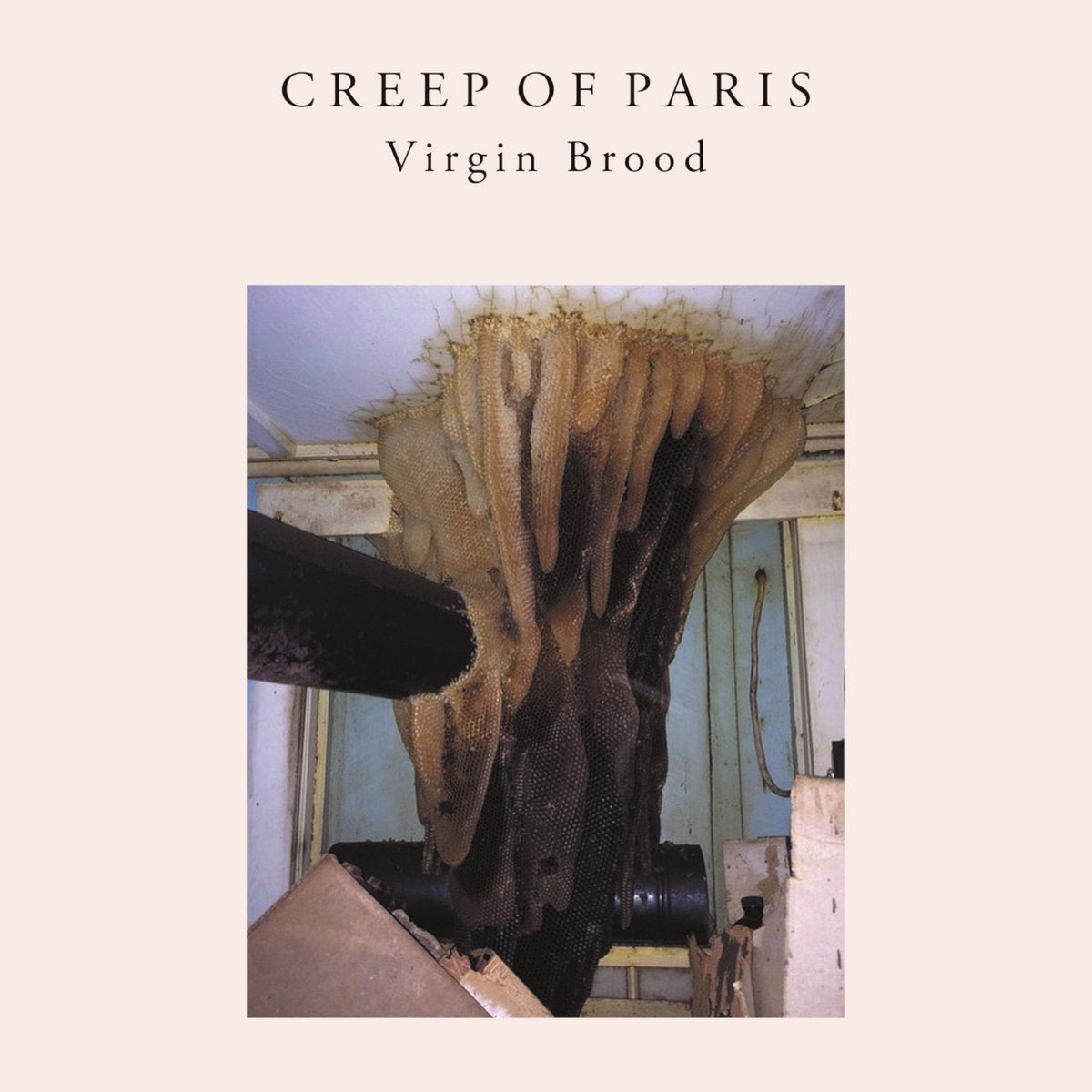 Creep of Paris – Virgin Brood [LP]