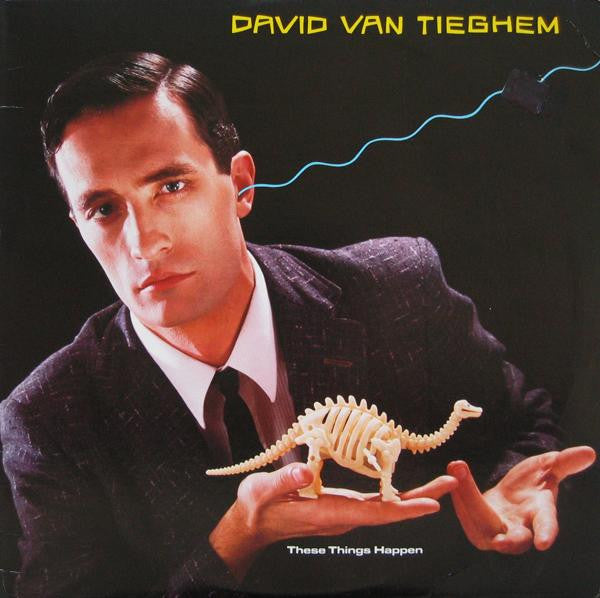 David Van Tieghem – These Things Happen [USED LP]