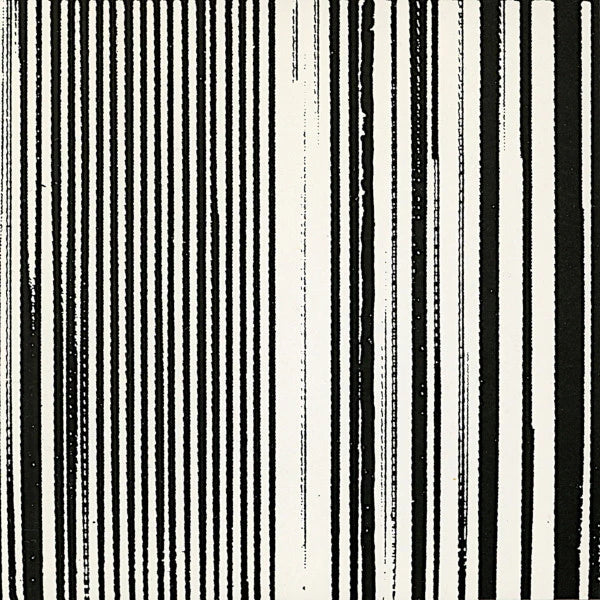 The Dead C – Harsh 70s Reality [2LP]