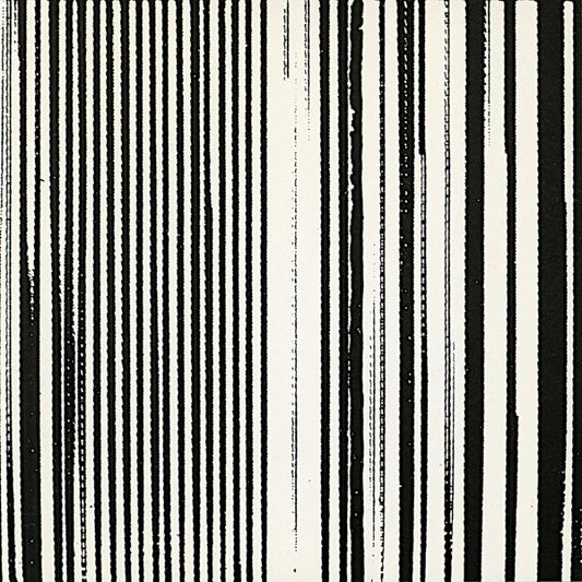 The Dead C – Harsh 70s Reality [2LP]