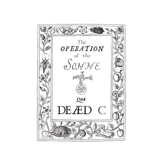 The Dead C – The Operation of the Sonne [LP]