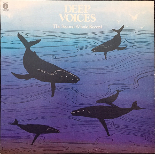 No Artist – Deep Voices (The Second Whale Record) [USED LP]