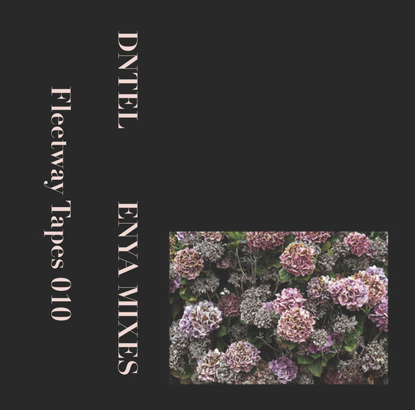 DNTEL – Enya Mixes [CS]