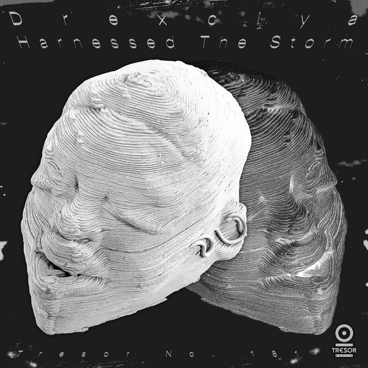 Drexciya – Harnessed the Storm [2LP]