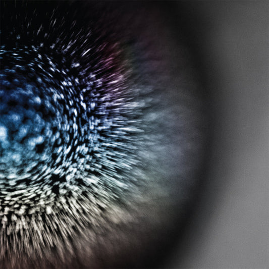 Emptyset – Blossoms [USED LP]