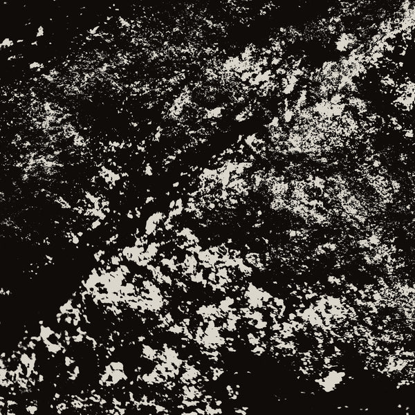 Mark Fell & Rian Treanor – Last Exit to Chickenley [2LP]