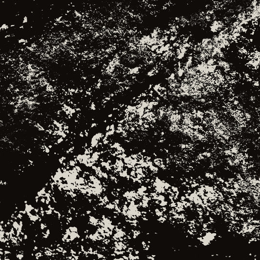 Mark Fell & Rian Treanor – Last Exit to Chickenley [2LP]