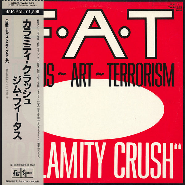 Foetus ~ Art ~ Terrorism – Calamity Crush [USED 12"]