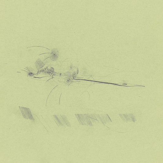 Francis Plagne – Asleep in a beached boat [LP]