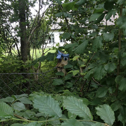 Franciska Og Emilie – Franciska Og Emilie [LP]