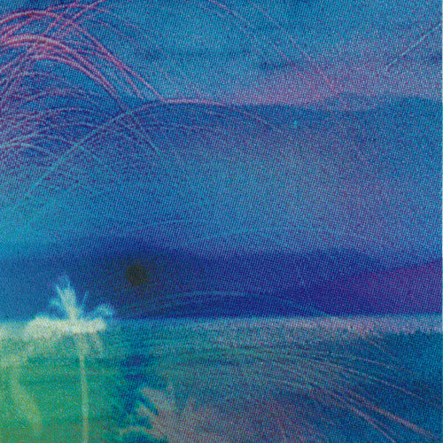 Flying Saucer Attack / Roy Montgomery – Goodbye / And Goodbye / The Whole Day [USED 12"]