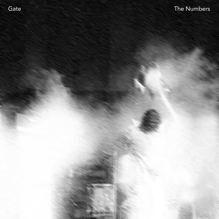 Gate – The Numbers [LP]