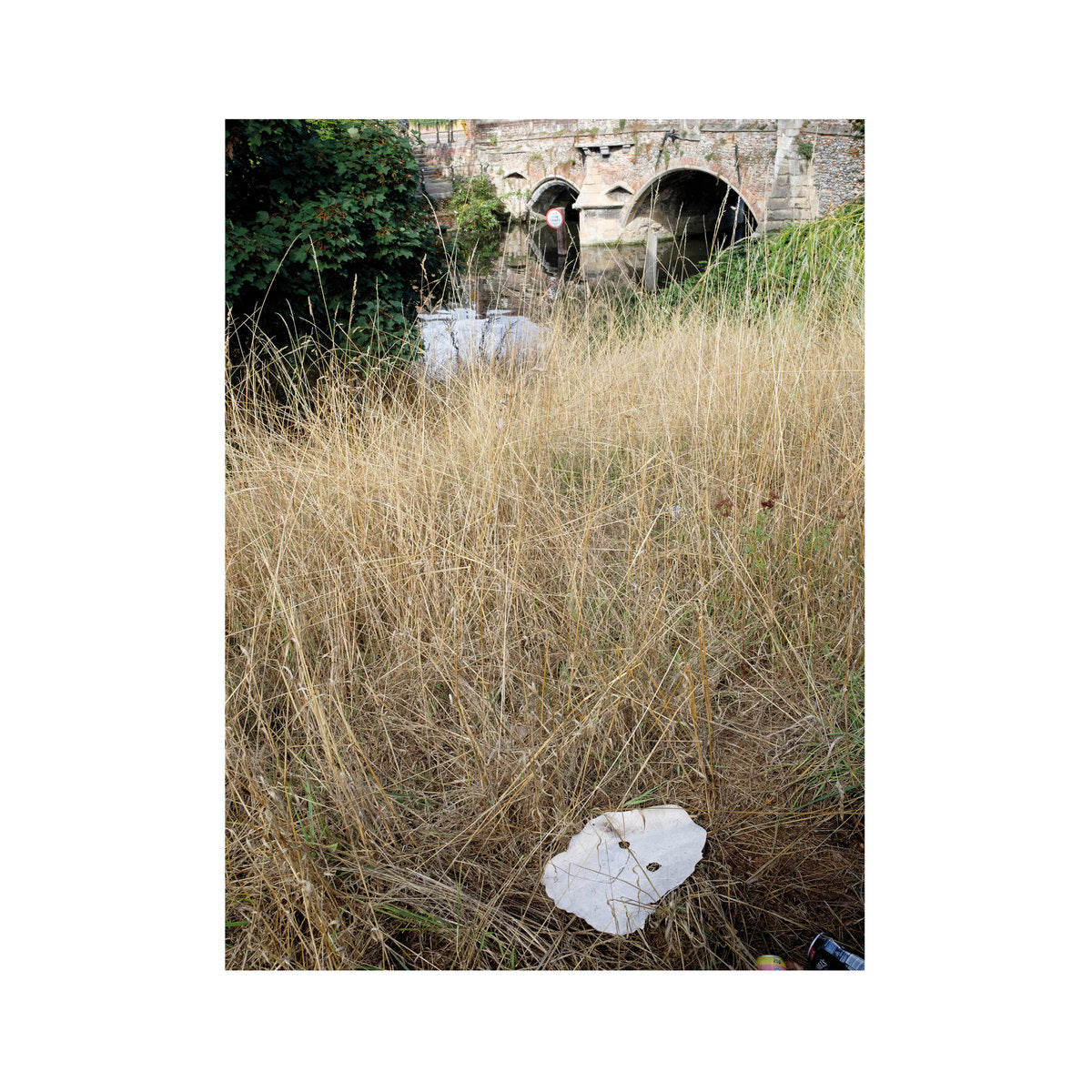 Germ Lattice – Corpusty [10"]