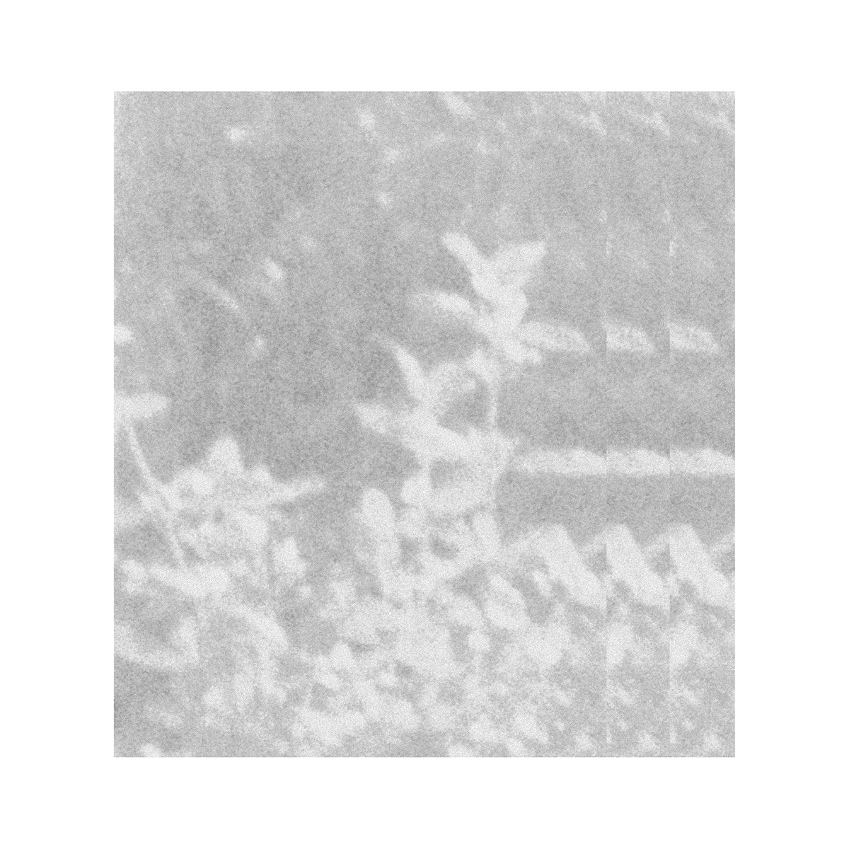 glen rey. – of that which we cannot speak [LP]