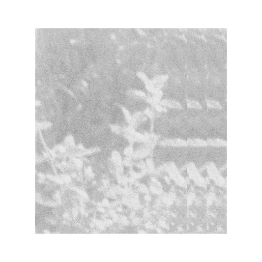 glen rey. – of that which we cannot speak [LP]