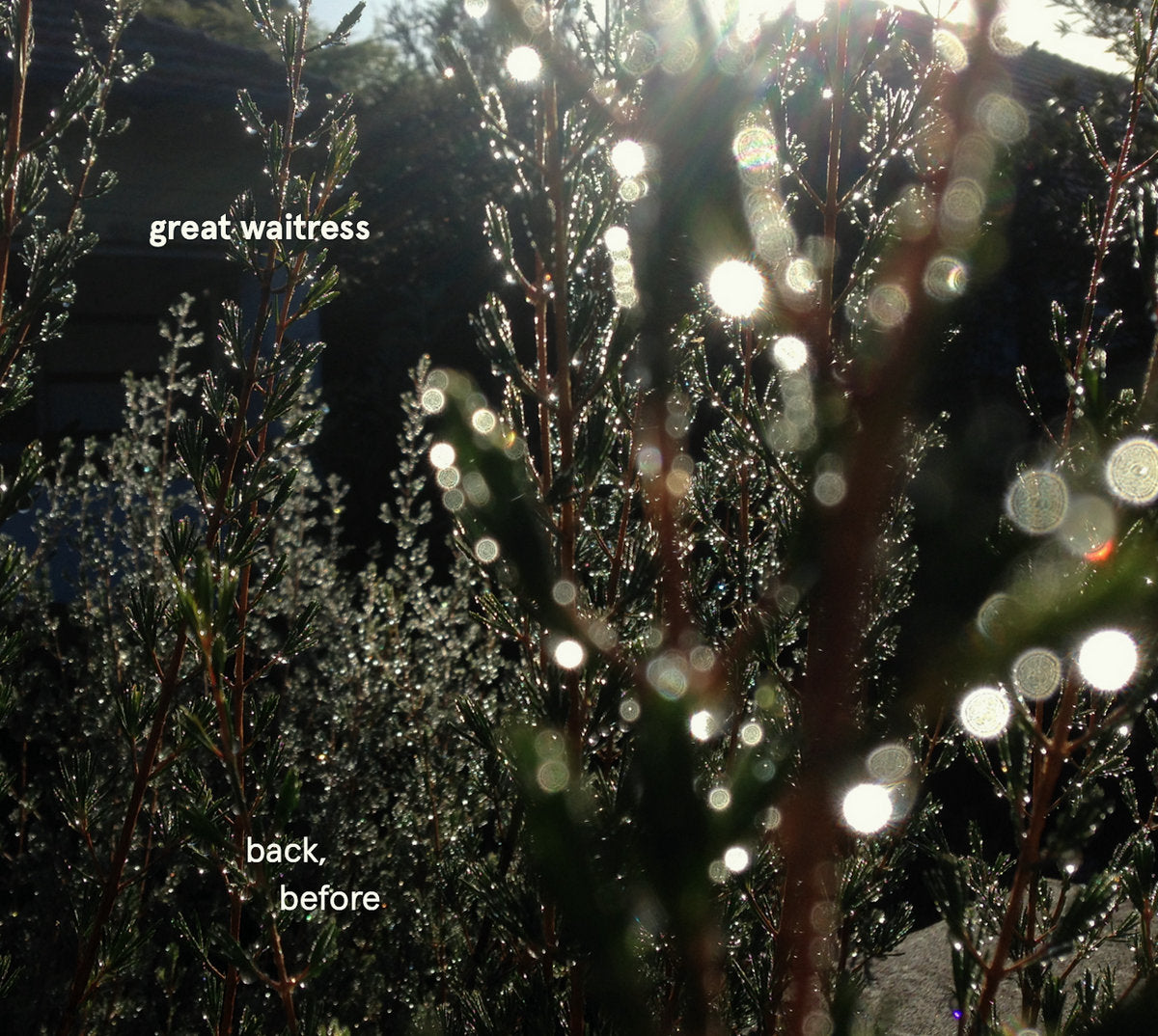Great Waitress – back, before [CD]