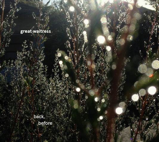 Great Waitress – back, before [CD]