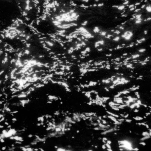 Grouper – A|A: Dream Loss [LP]