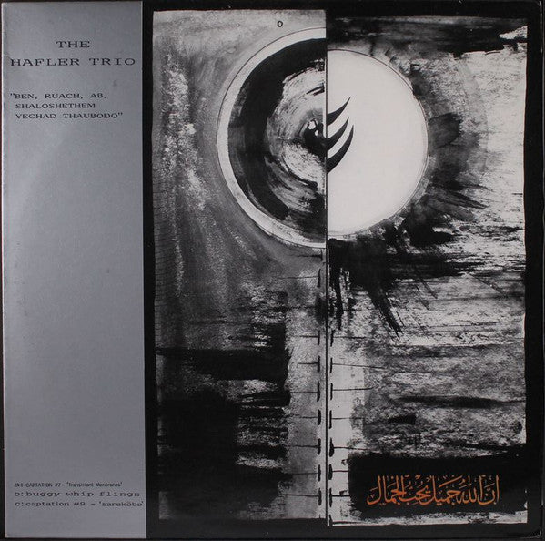 The Hafler Trio / Luciano Dari – Ben, Ruach, Ab, Shaloshethem, Yechad Thaubodo / Idrogeni Superiori [USED LP]