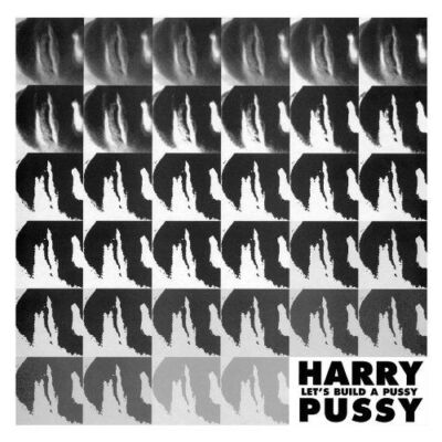Harry Pussy – Let's Build A Pussy [USED 2LP]