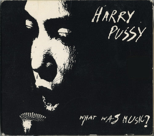Harry Pussy – What Was Music? [CD]